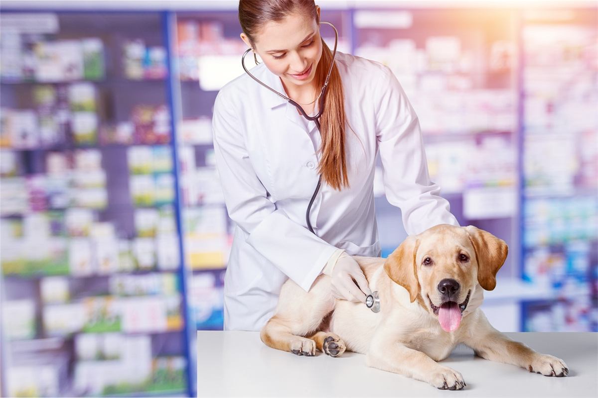 Apoteka i pet shop
